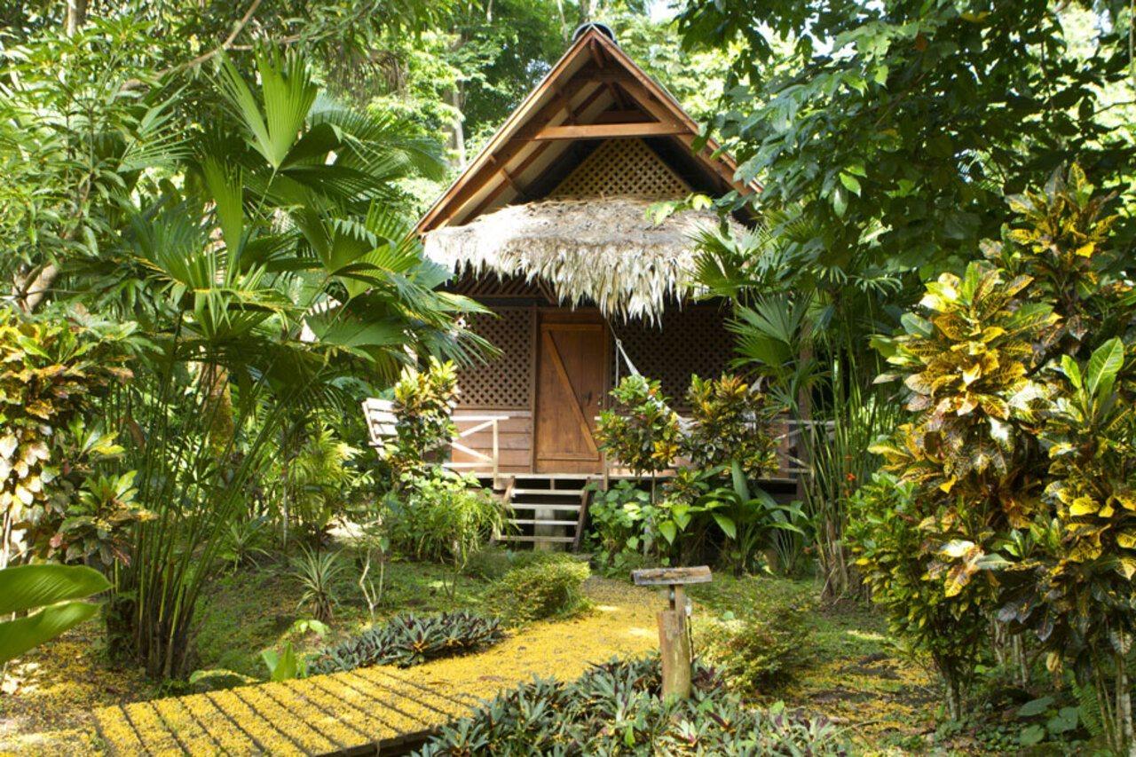 Azania Bungalows Puerto Viejo de Talamanca Екстериор снимка