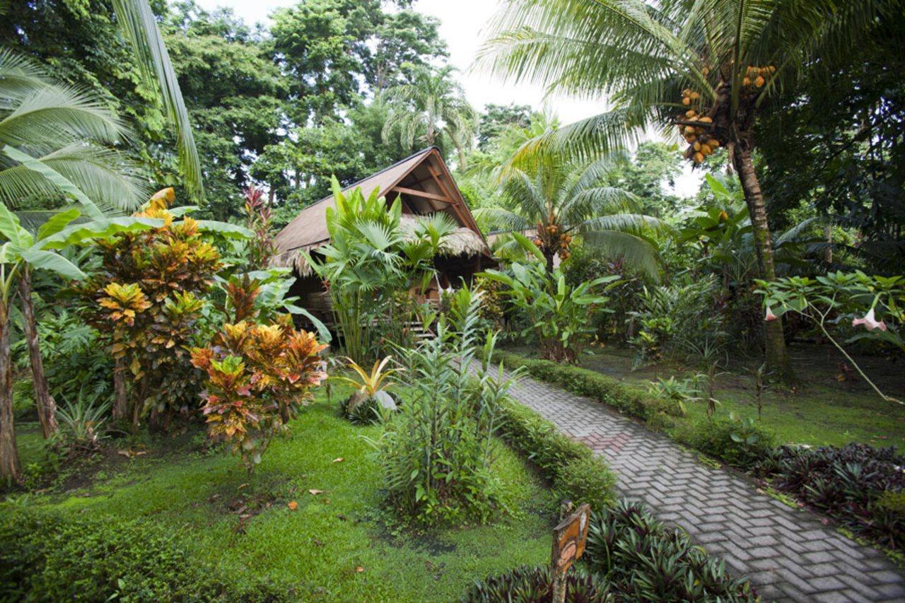 Azania Bungalows Puerto Viejo de Talamanca Екстериор снимка
