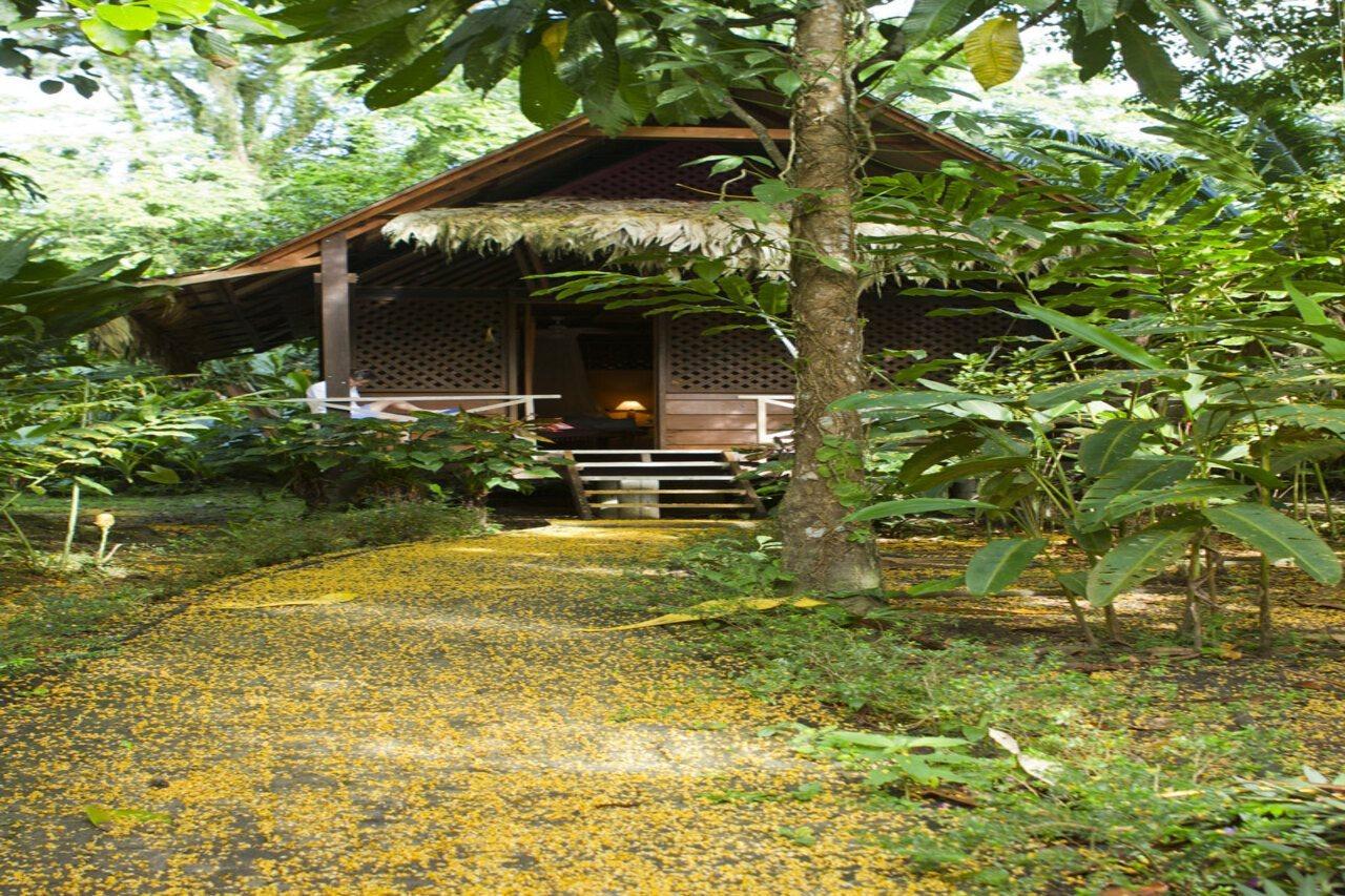 Azania Bungalows Puerto Viejo de Talamanca Екстериор снимка