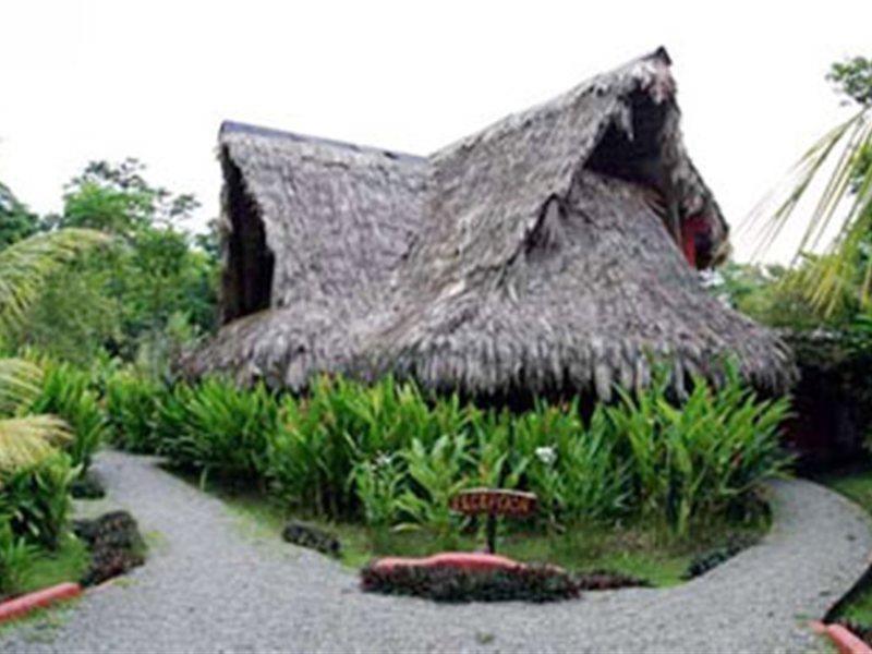 Azania Bungalows Puerto Viejo de Talamanca Екстериор снимка